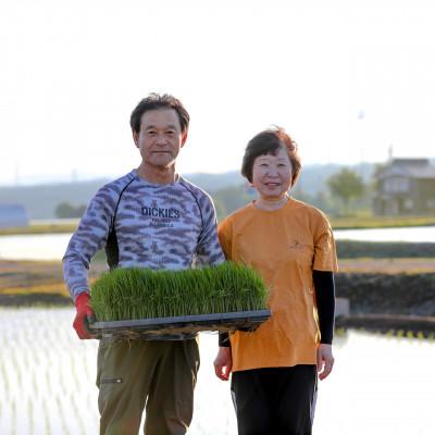 ふるさと納税 津南町 【毎月定期便】魚沼産コシヒカリ 九左衛門の米 5kg(5kg×1袋)全6回 |  | 01