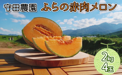 【2025年7月中旬～発送】北海道 ふらの 赤肉メロン 4玉入り 約2kg×4玉 (守田農園) メロン フルーツ 果物 新鮮 甘い 贈り物 ギフト 道産 ジューシー おやつ ふらの ブランド 夏