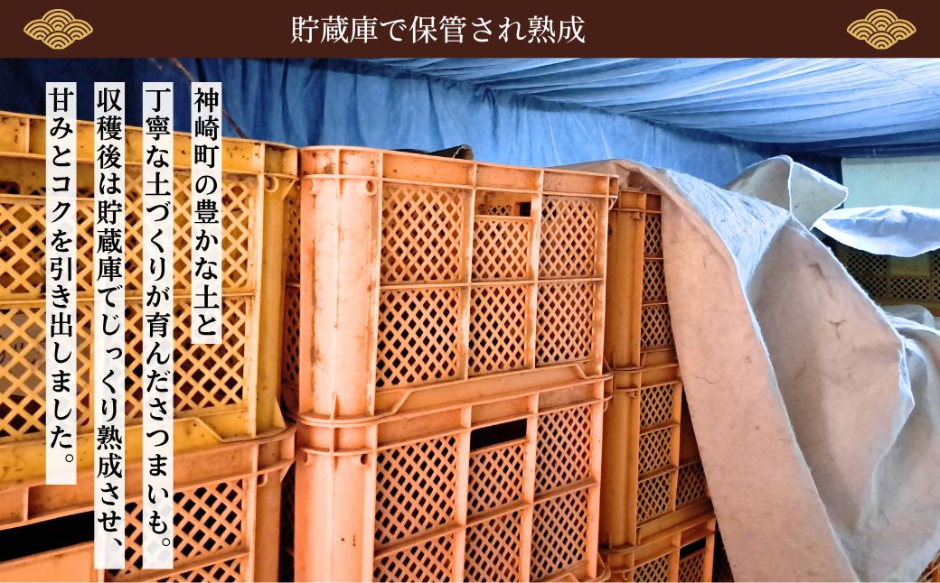 ＼焼き芋も天ぷらもおまかせ！／神崎町産べにあずま 洗い さつまいも 5kg｜ホクホク甘い万能タイプ（9月・10月・1月～5月に順次発送）[016-a004]【千葉県神崎町ふるさと納税】