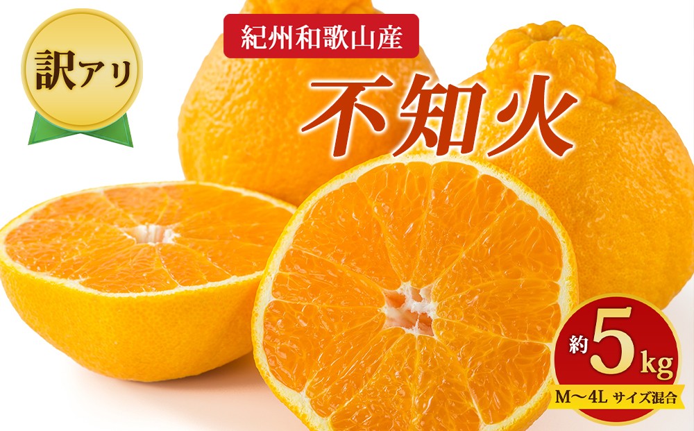 
                  【先行予約】【訳あり】紀州和歌山産 不知火 約5kg （箱込み）M～4L サイズ混合
                