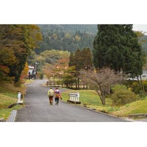 新庄村　森林セラピー体験チケット(4名様分)【1606993】