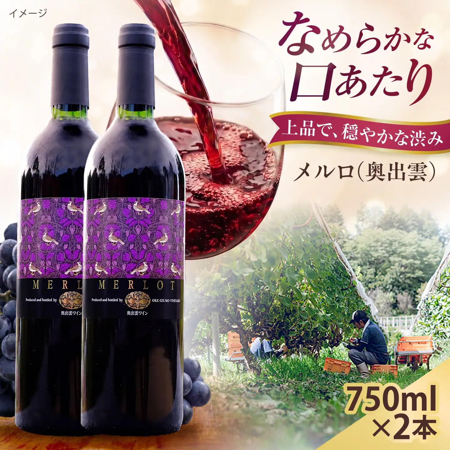 奥出雲ワイン メルロ 2本 750ml×2 赤ワイン 国産 島根県雲南市/有限会社奥出雲葡萄園[AICS096]