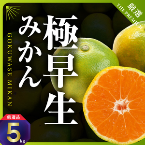 まもなく収穫! 極早生みかん 5kg【C31-15】【1042517】 YWTAC007