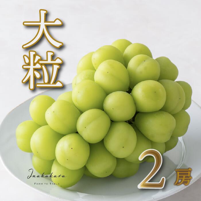 【ふるさと納税】【2026年発送★先行予約】 Inakakara 一宮の大粒シャインマスカット2房 (約1.4kg） ふるさと納税 おすすめ ランキング シャインマスカット 大粒 笛吹市 国産 人気 期間限定 ぶどう ブドウ 葡萄 旬 果物 フルーツ 山梨県 送料無料 192-011