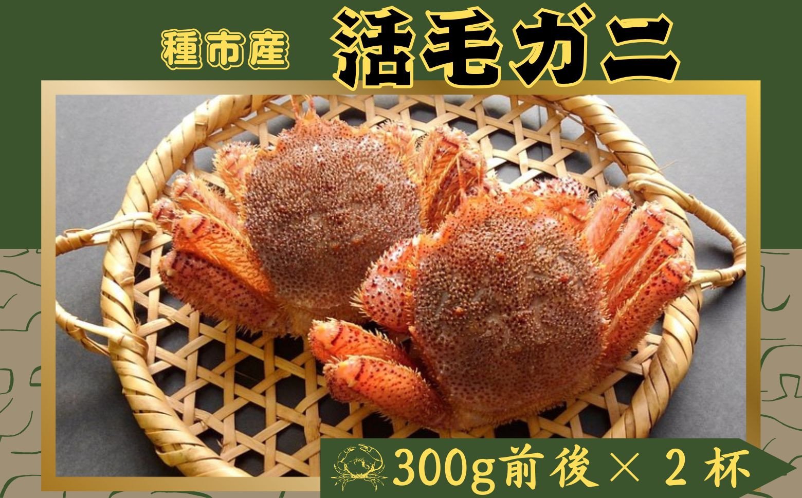 
                  【獲れたてを直送】種市産活毛がに中サイズ（300g前後）×2杯 天然 冷蔵 三陸 蟹 カニ
                