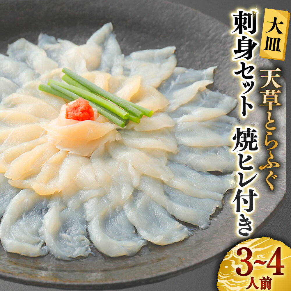 【ふるさと納税】【大皿】天草とらふぐ刺身セット 焼ヒレ付き 3～4人前 とらふぐ トラフグ ふぐ刺し 皮 もみじおろし ポン酢 焼きひれ 刺し身 てっさ 皮刺し ひれ酒 魚介類 水産物 詰め合わせ 冷凍 熊本県産 国産 九州 熊本県 送料無料 【2025年12月下旬発送開始】