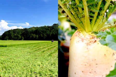 いぶりがっこ 200g×4袋 株式会社がっこ