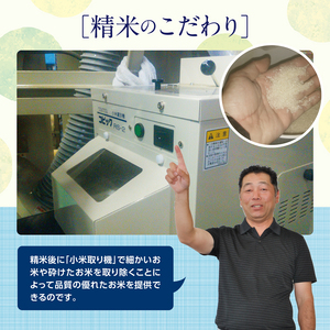 SA2560　令和7年産【精米】特別栽培米雪若丸　5kg×1袋「農家直送」 KA