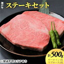 【ふるさと納税】神戸牛　ステーキセット（サーロイン1枚・リブロース1枚）計500g　【お肉 ロース 牛肉 サーロイン 神戸牛 ステーキ リブロース 計500g】