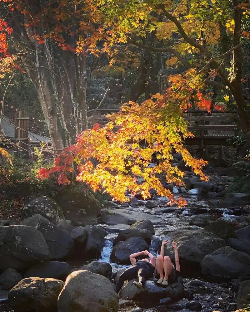 地産地消の銭湯みたいなテントサウナ「公衆アウトドアサウナ ノサウナ ODAWARA」の1日利用券【 サウナ 神奈川県 小田原市 サウナ】