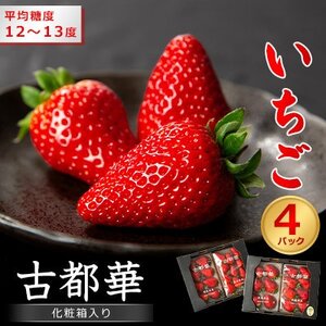 奈良県産いちご　古都華　化粧箱入り4パック_果物・フルーツ いちご  イチゴ 苺_【配送不可地域：離島・北海道・沖縄県】【1253923】
