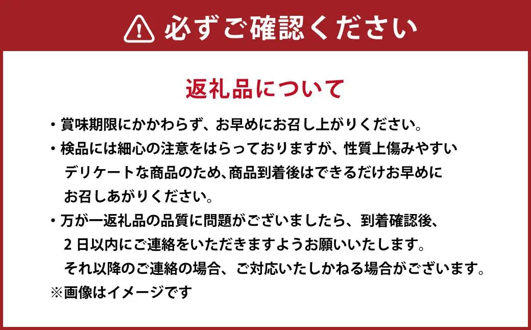 ＜ R8年熊本地震復興支援 ＞【先行受付】【数量限定】【訳あり】パール柑 約5kg 13玉前後 訳あり 訳アリ 柑橘 フルーツ 果物 果実 くだもの 九州産 熊本県 上天草市【2027年2月下旬～3月
