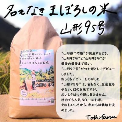 ふるさと納税 小国町 山形県小国町産 山形95号 精米 5kg×1袋 |  | 01