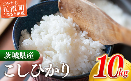 【新米発送】☆令和6年産☆『こしひかり』 精米10kg(5kg×2袋) 出荷日に合わせて精米【2024年9月上旬より発送開始】コシヒカリ 人気 銘柄 茨城県産 お好み 選択 家計応援 家庭用 茨城県 五霞町【価格改定X】