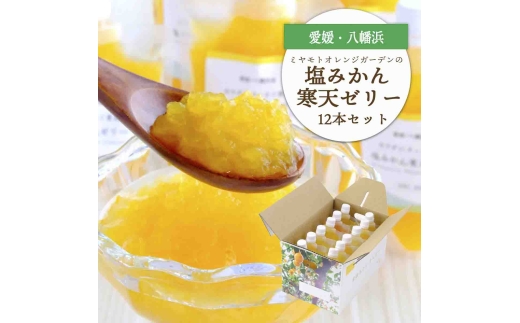 ゲル化剤・pH調整剤不使用!愛媛産 塩みかん寒天ゼリー 12本セット＜D25-221＞【1628728】 YWTAP162