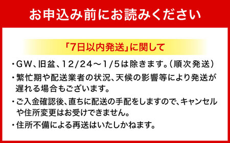 オリオン 麦職人 350ml 48本(24缶×2ケース) オリオンビール 缶ビール ビール 沖縄市 / 株式会社仲松商事 生ビール アルコールビール BBQビール 沖縄ビール [BCDA002]