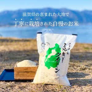 令和８年度産　滋賀県産ミルキークイーン 5kg　低アミロース米 お米 白米  DC-0002