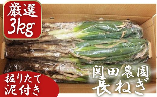 
            関田農園の「厳選　長ねぎ（泥付き）」箱3kg　【11246-0114】
          