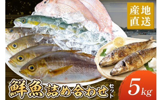 御坊産　鮮魚セット5kg 鮮魚 天然 詰め合わせ 朝どれ 冷蔵 新鮮 アジ サバ タチウオ 太刀魚 タイ 漁港 和歌山県産 御坊産 送料無料【配送不可地域】沖縄・北海道・東北・九州
