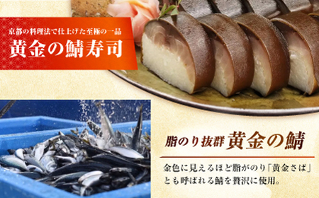抹茶にしんそば2人前＋黄金の鯖寿司＜上＞ [AOAV018] 蕎麦