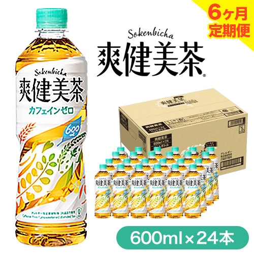 ★ 6ヶ月 定期便 ★ 爽健美茶 600ml×24本 コカ・コーラボトラーズジャパン 《お申込み月翌月から出荷開始》 和歌山県 紀の川市 お茶 茶 ハトムギ 玄米 月見草---wsk_coctei5_25_86500_mo6num1---