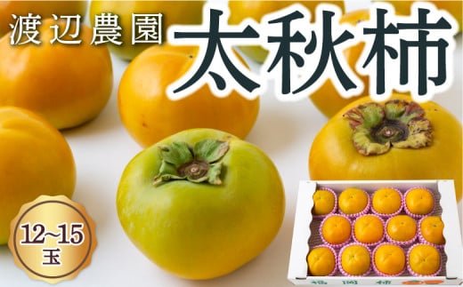 【先行予約】 渡辺農園 太秋柿 12玉から15玉 【2025年10月中旬から10月下旬 出荷予定】 柿 かき カキ 太秋 たいしゅう 完全甘柿 果物 くだもの フルーツ 果実 ジューシー お取り寄せ 福岡県 うきは市