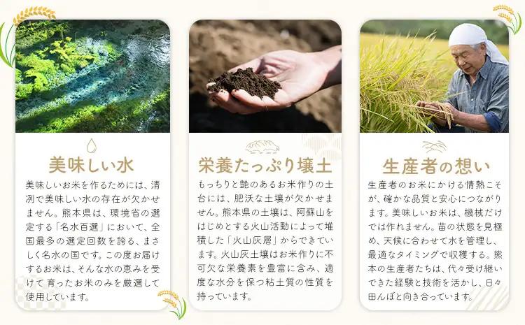 無洗米 せきゆらり 5kg 12ヶ月 定期便 熊本県産 国産 無洗