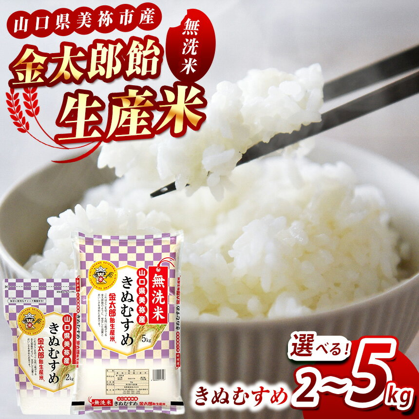 【ふるさと納税】 令和7年産 無洗米 金太郎飴生産米 きぬむすめ 山口美祢産 2kg / 5kg ｜ 令和7年産 米 白米 きぬむすめ 無洗米 山口 美祢市 美祢 特産品 2kg 5kg