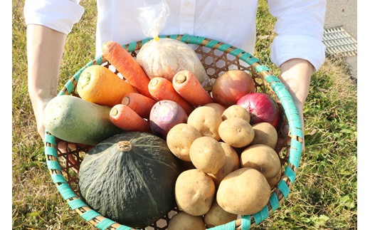 秋の真狩味覚セット B（じゃがいも10Kg！（2種各約5Kg）二種食べ比べと旬の農産物詰め合わせ）【2025年産】北海道真狩村産　お楽しみ　詰め合わせ【0111001】