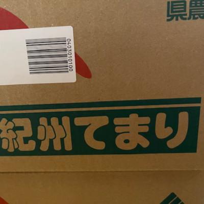 ふるさと納税 高野町 富有柿の新品種「紀州てまり」約7.5kg(22玉〜32玉おまかせ)【高野町】 |  | 01