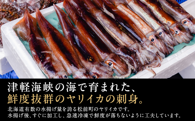 ヤリイカ刺身 50g×4パック 小分け 冷凍 イカ ヤリイカ 刺身 肉厚 柔らかい 海鮮 新鮮 魚介 獲れたて お取り寄せ グルメ 北海道 松前町 MATK032