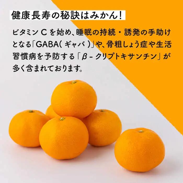 【先行予約】原口早生 みかん 約5kg [OCU003] みかん