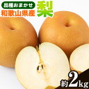 【ふるさと納税】和歌山県産の 梨 約2kg(品種おまかせ) 厳選館《2025年8月下旬-10月末頃出荷》和歌山県 日高川町 果物 フルーツ 梨 なし ナシ 送料無料