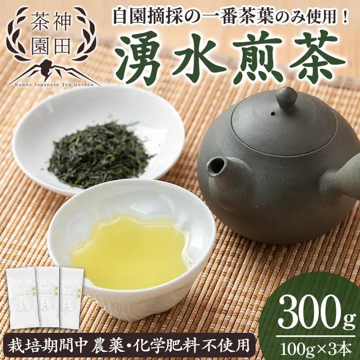 《数量限定》鹿児島県湧水町産！栽培期間中農薬・化学肥料不使用！湧水煎茶(100g×3本) 国産 九州産 鹿児島県産 茶葉 お茶 茶 日本茶 緑茶 煎茶 一番茶 湧水茶 浅蒸し茶 ギフト 贈答 プレゼント 贈り物 令和8年産 【神田茶園】_y312