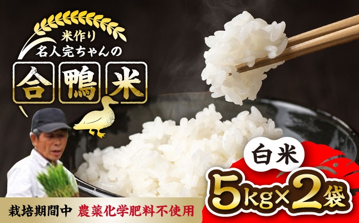 
            【先行予約】【11月より順次発送】【令和7年産】合鴨米 白米 計10kg ( 5kg × 2袋 ) 米作り名人完ちゃんの合鴨米 栽培期間中農薬化学肥料不使用 熊本県産 [YCT001] 
          