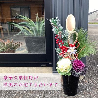 ふるさと納税 藤枝市 迎春・お正月用門松寄せ植え6号 　60cmタイプ |  | 01