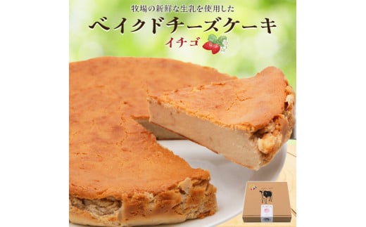 奥野牧場ベイクドチーズケーキ ホール (大) イチゴ｜チーズ ケーキ スイーツ フルーツ ミルク 牧場 ギフト お祝い 袖ケ浦 [0228ch]