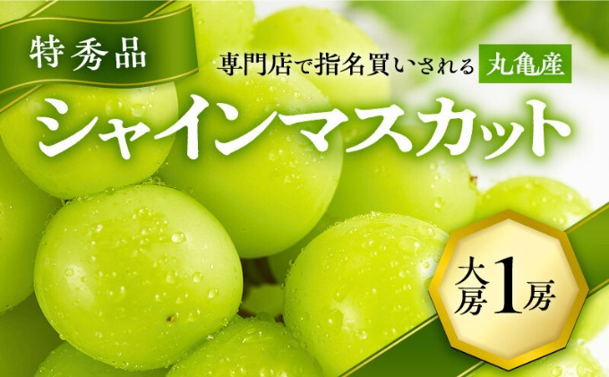 
            極撰！大房シャインマスカット　1房（約750g）/特秀品 特大 大房 マスカット ぶどう 葡萄 ブドウ フルーツ 果物 くだもの 香川
          