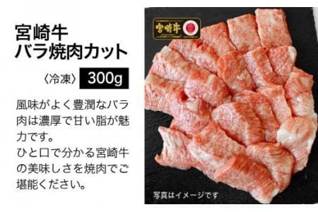 宮崎牛 特上セット 800g【肉 牛肉 国産 黒毛和牛 宮崎牛 肉質等級4等級以上の牛肉 ステーキ スライス 焼肉 しゃぶしゃぶ すき焼き BBQ】