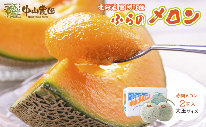 テレビで紹介されました！【2026年夏発送】北海道 富良野産 赤肉メロン 2玉 計3.2kg以上 大玉サイズ メロン