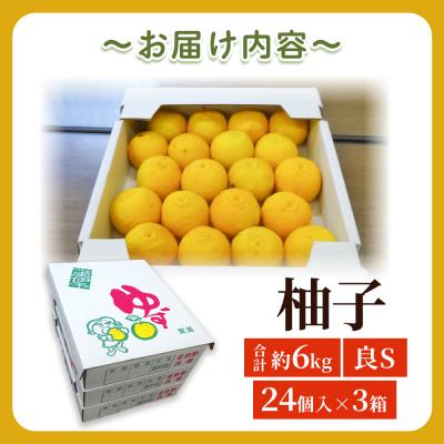 ふるさと納税 西予市 柚子 良 Sサイズ (24個入り) × 3箱> 約6kg ゆず ユズ 国産 柑橘 |  | 03