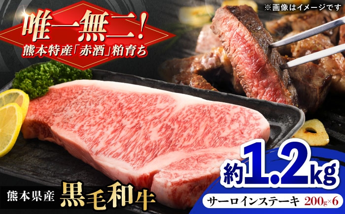 
                  熊本県産 『原田畜産』 黒毛和牛 サーロイン ステーキ 計約1.2kg（約200g×6枚） 牛肉 牛 【有限会社 九州食肉産業】 [AYCN152]
                