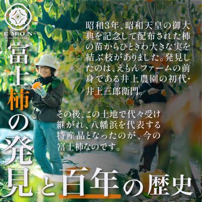 ふるさと納税 八幡浜市 ※先行受付中!!【まずはお試し】元祖・富士柿2.5kg【63-6】 |  | 01