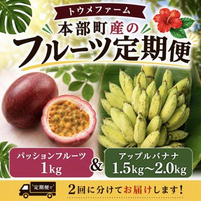 ふるさと納税 本部町 【発送月固定定期便】トウメファームが厳選したフルーツ定期便 パッションフルーツ&amp;アップルバナナ全2回