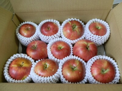 【2026年先行予約】りんご 夏あかり2kg ｜ りんご