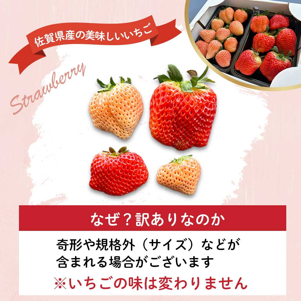 ★予約受付★【2月～4月 順次配送】玄海町産いろどりいちご詰め合わせ（家庭用・訳あり）