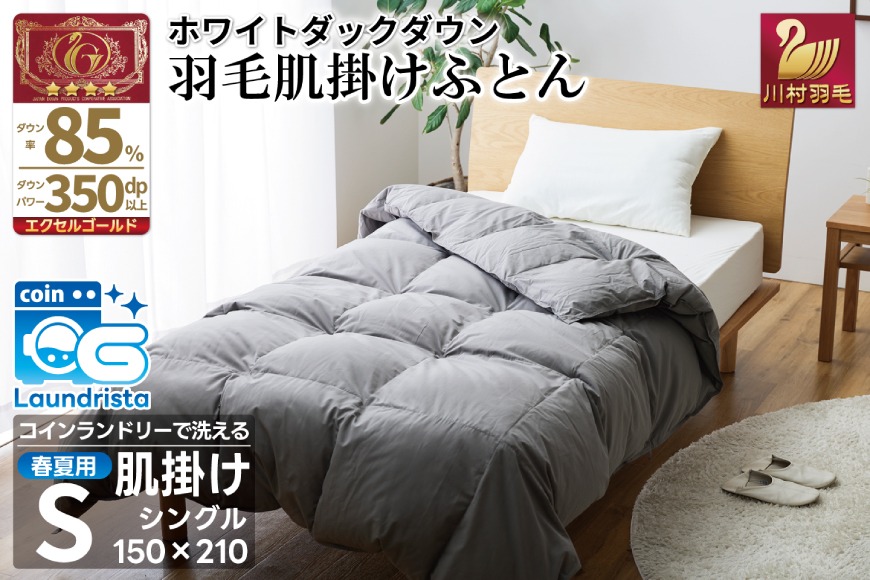 【春夏用】洗える！ 羽毛 肌掛け布団 シングル ホワイトダックダウン 85%  (無地 グレー) 羽毛布団 布団 ふとん 羽毛 肌掛け 掛け布団 寝具 夏用 日本製 国産 抗菌防臭 無地 コインランドリー [川村羽毛 山梨県 韮崎市 20745100]