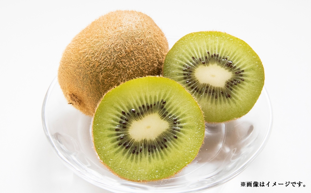 中央市産 ヘイワード キウイ 約2kg