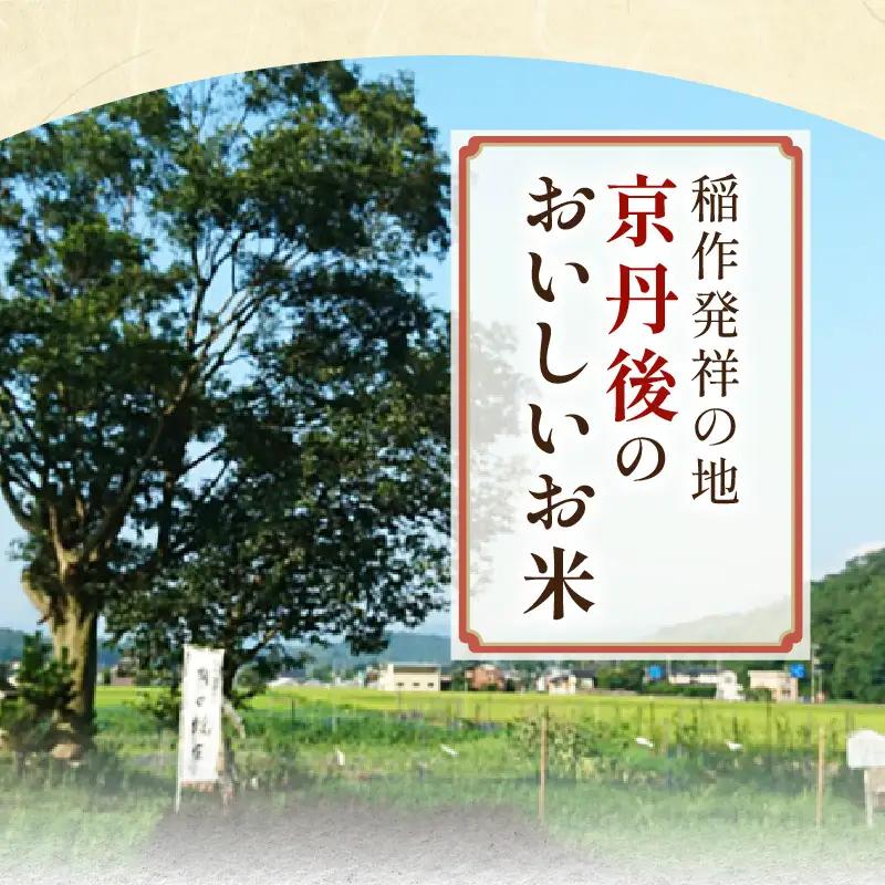 2026年産 京都・京丹後峰山 特別栽培米コシヒカリ 3kg 【玄米】 1等米 検査済証付 米 ふるさと納税 コシヒカリ ふるさと納税 白米 ふるさと納税 お米 ご飯 ごはん おいしい コメ コシヒカ