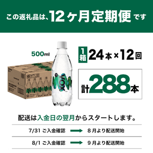 【12か月定期便】VOX バナジウム 強炭酸水 500ml 24本(ミントフレーバー)